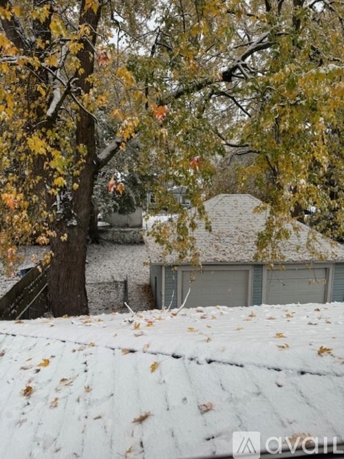 A tree with yellow leaves is in front of a house with a grey roof.