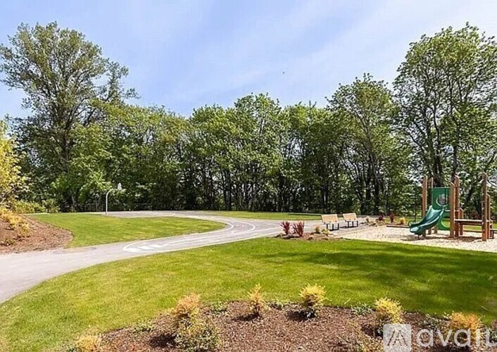 A playground with a green slide and a winding pathway.