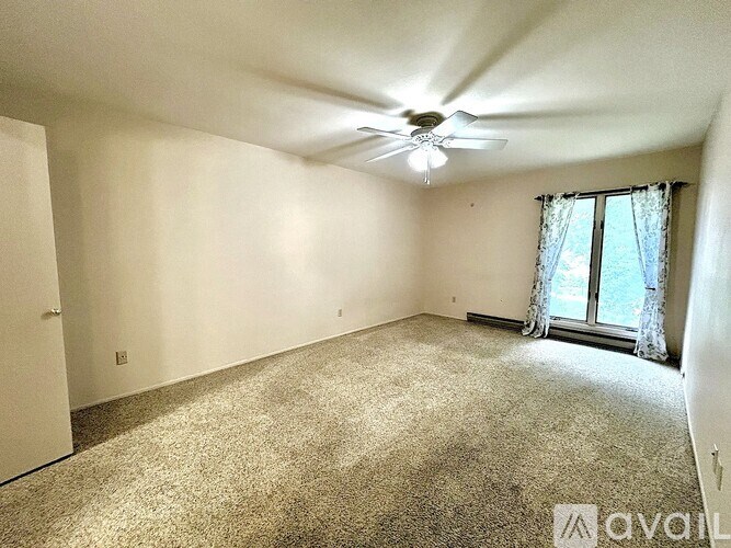 A room with a carpeted floor, a ceiling fan, and a window with curtains.