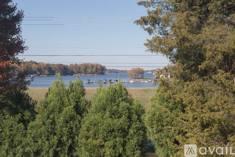 A view of a lake with boats and a bridge in the distance, framed by trees.