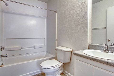 A white toilet sits next to a sink in a bathroom.
