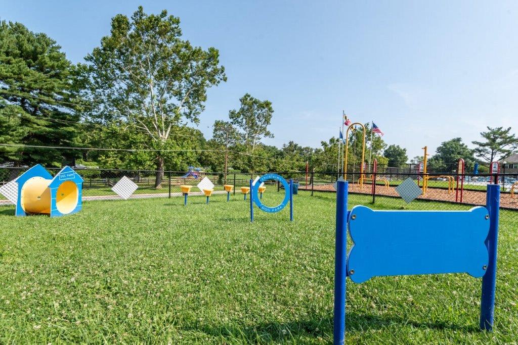 Fenced dog park with agility equipment
