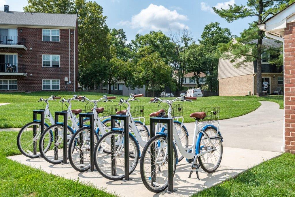 Free bike share