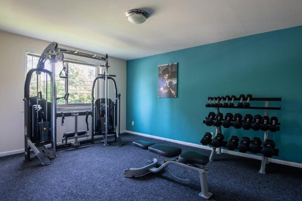 the gym is stocked with weights and other exercise equipment