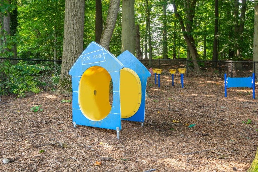 two blue and yellow portable toilets in a park