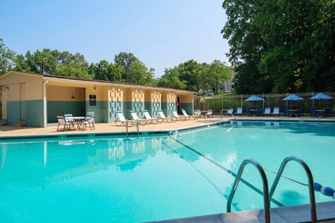 the swimming pool at the resort on a sunny day