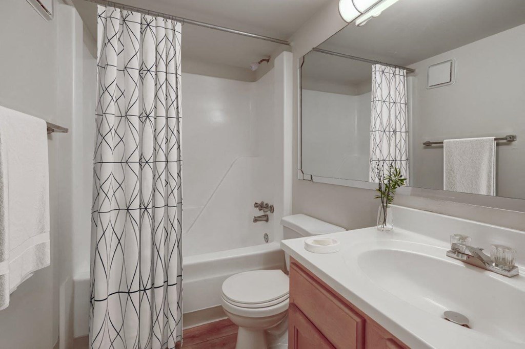 a bathroom with a sink and a toilet and a shower curtain