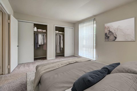 a master bedroom with a closet and a bed
