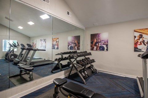 A gym with a mirror, weights, and exercise equipment.