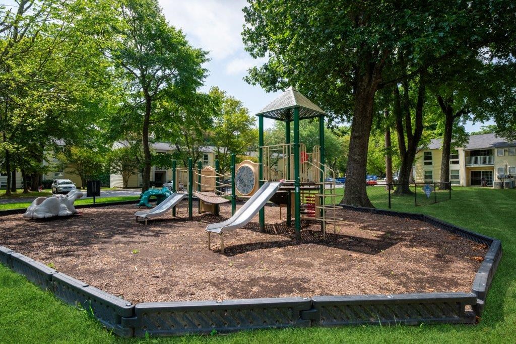 a playground with a jungle gym and slides in a park