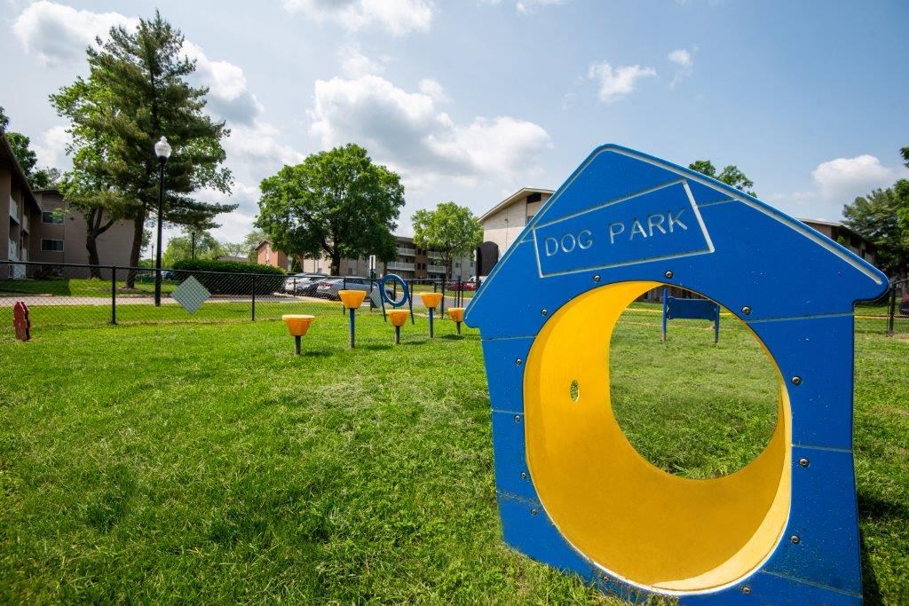 a blue and yellow dog park sign in the grass