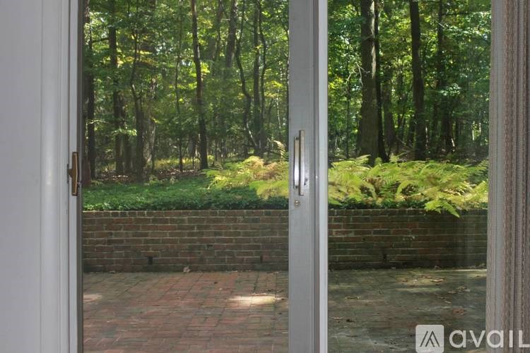 A view of a forest through a glass door.