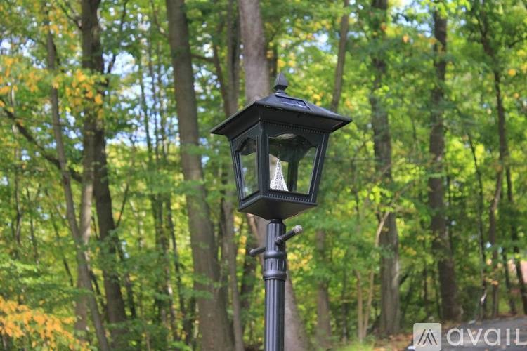 A black lantern is mounted on a pole in a forest.