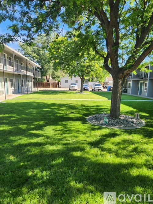 A tree in a grassy area with apartment buildings in the background.