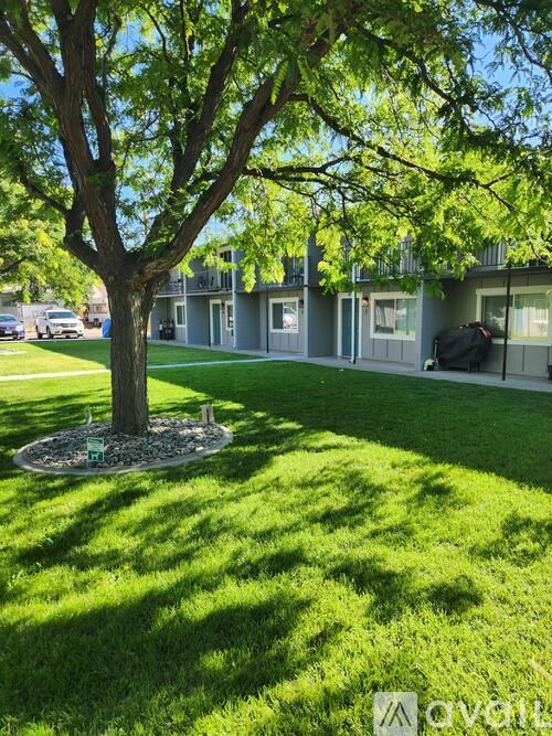 A tree in a grassy area in front of a building.