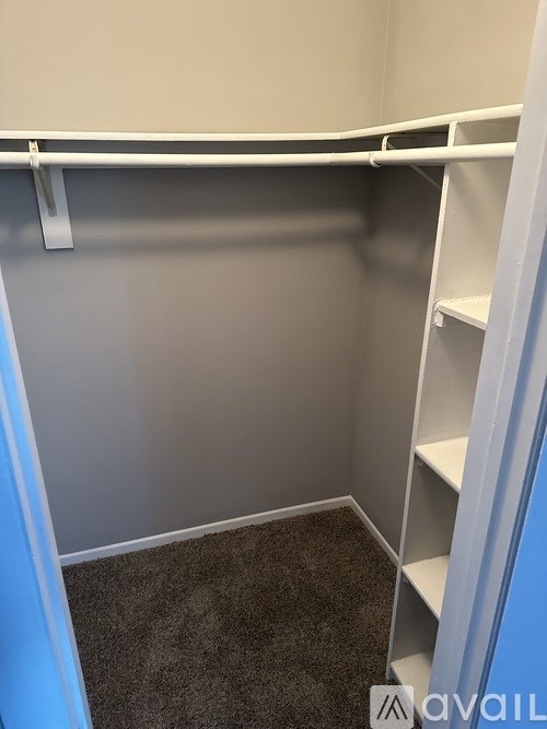 A small, empty closet with a carpeted floor.