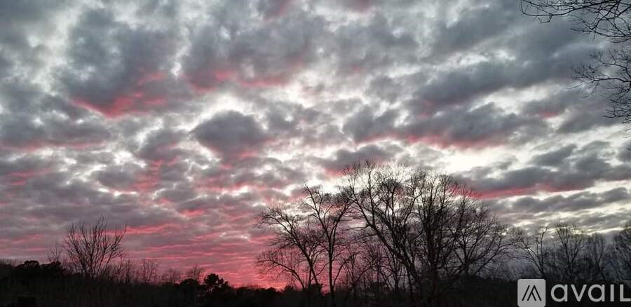 A beautiful sunset with clouds and trees silhouettes.