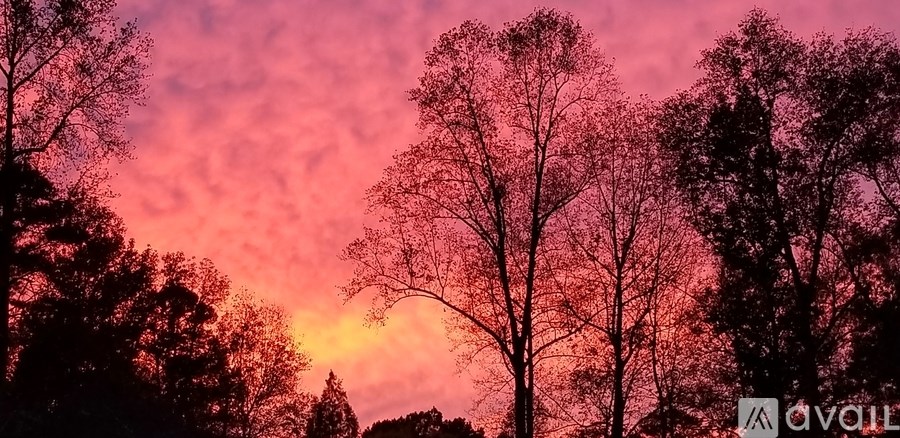 A beautiful sunset paints the sky in vibrant hues, casting a warm glow over the silhouetted trees.