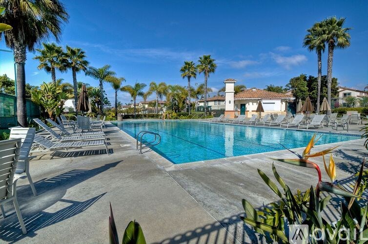 A pool surrounded by palm trees and lounge chairs.