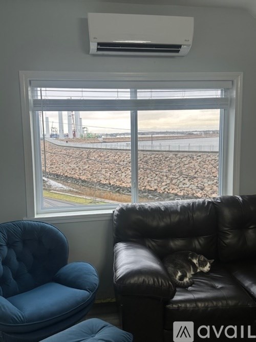 A cat is sitting on a black leather couch by a window.