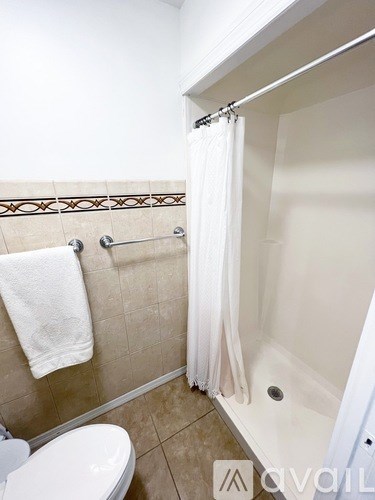 A white toilet sits next to a shower curtain in a bathroom.