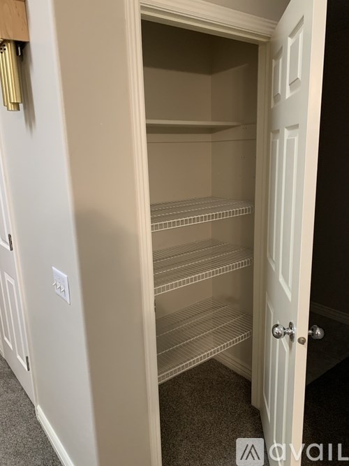 A white pantry with a door open to a carpeted floor.
