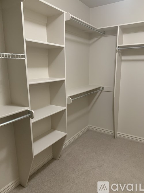 A white closet with shelves and a carpeted floor.