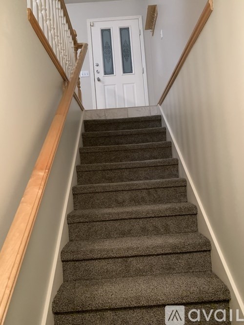 A staircase with a carpeted runner and wooden handrails.