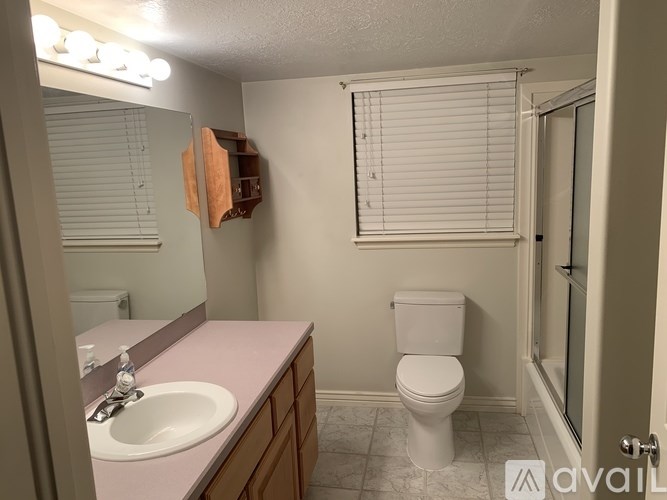 A bathroom with a toilet, sink, and mirror.