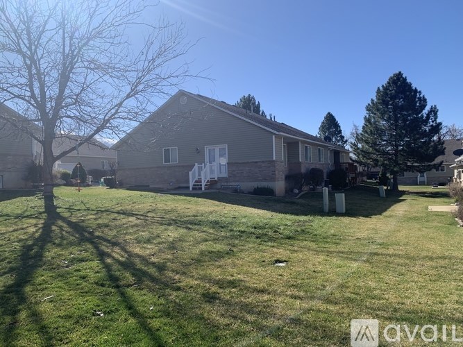 A sunny day in a residential area with houses and trees.