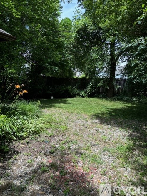 A garden with a gravel path and a variety of plants.