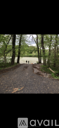 Two people walking down a dirt road surrounded by trees.
