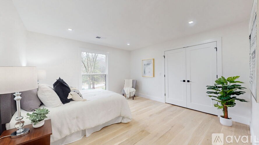 A bedroom with a large bed, a nightstand with a lamp, a potted plant, and a framed picture on the wall.