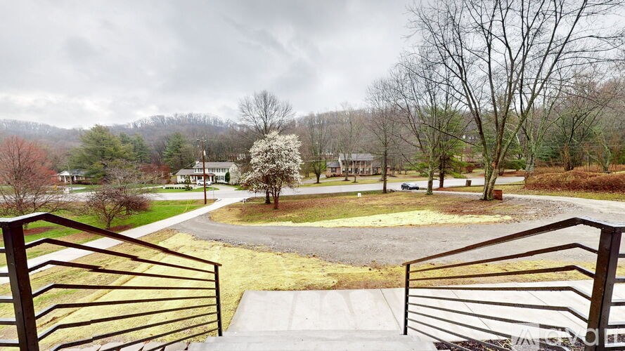 A view from a balcony looking down at a park with a white flowering tree in the center.