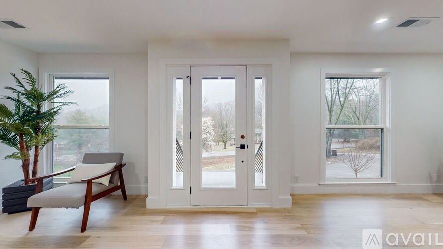 A room with a white door, a plant, and a chair.