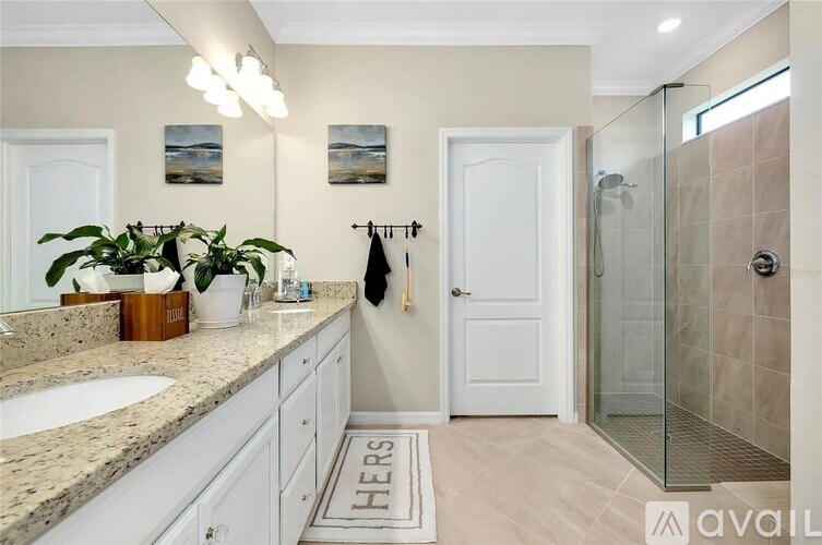 A bathroom with a sink, mirror, and a plant on the counter.