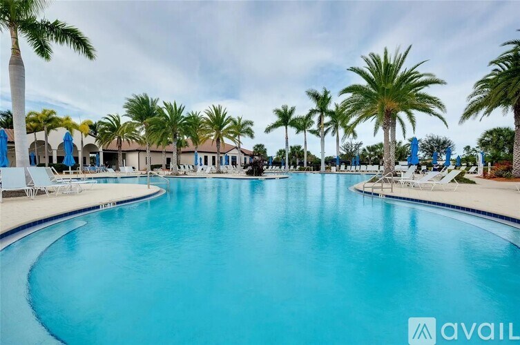A large swimming pool surrounded by palm trees and lounge chairs.