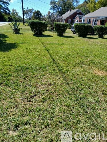 A grassy yard with a house in the background.