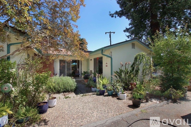 A house with a gravel driveway and a variety of plants in front.