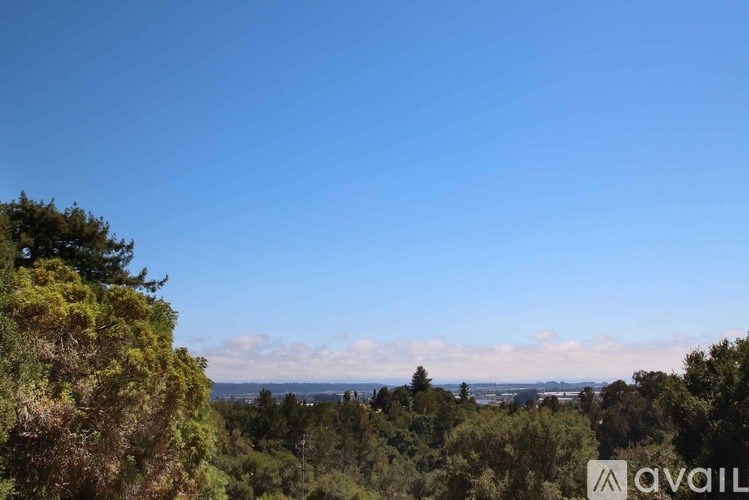 A clear blue sky above a lush green landscape.