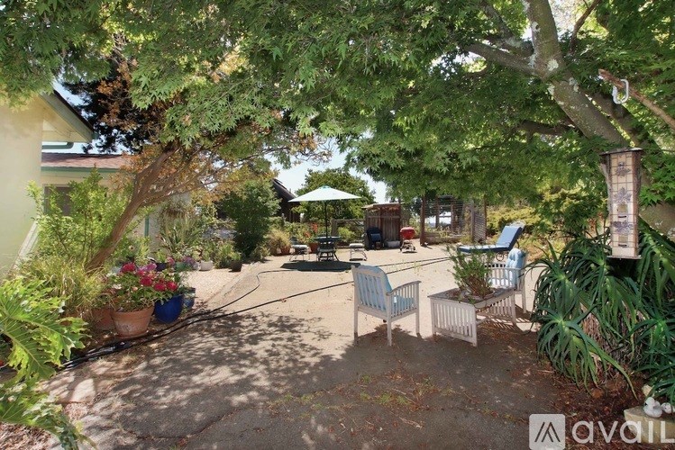A backyard with a patio and a tree.