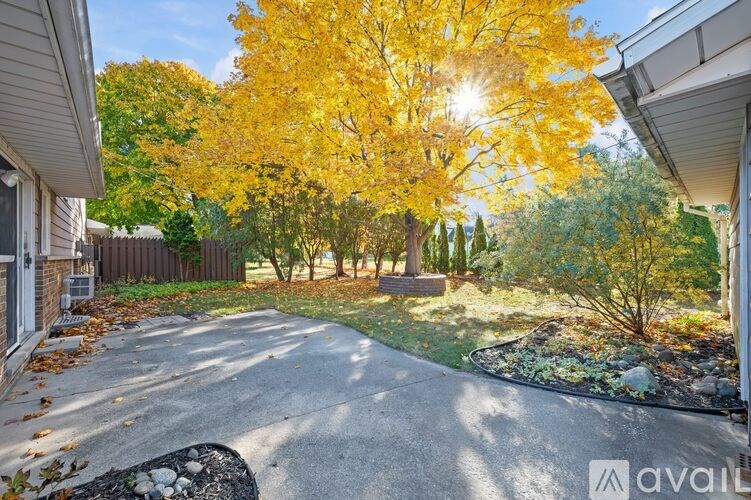 A tree with yellow leaves is in the foreground of a residential area.