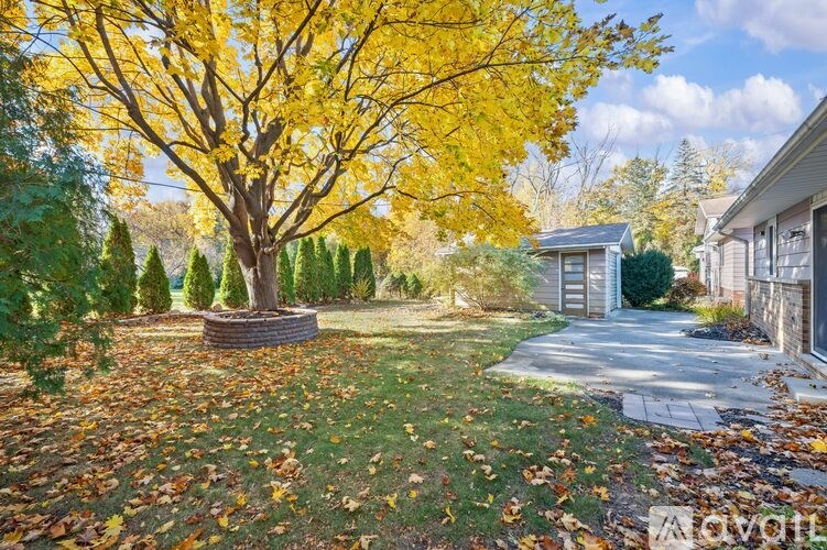 A tree with yellow leaves is in the center of a yard.