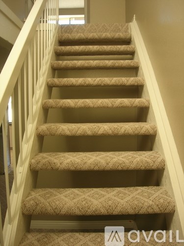A staircase with beige carpeted steps and white railings.