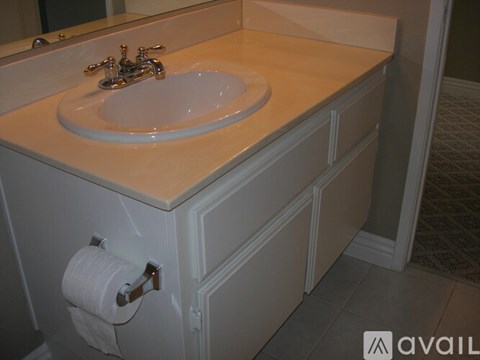 A bathroom sink with a roll of toilet paper on the side.