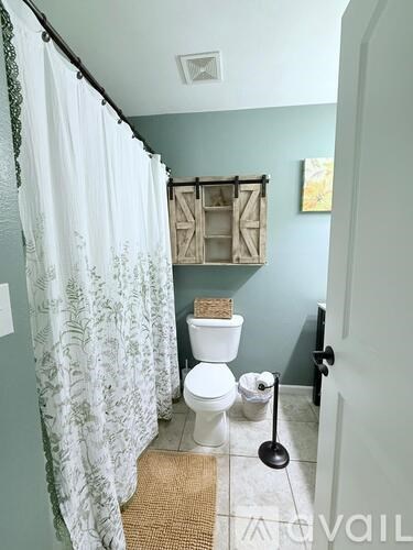 A bathroom with a toilet, a shower curtain, and a rug.