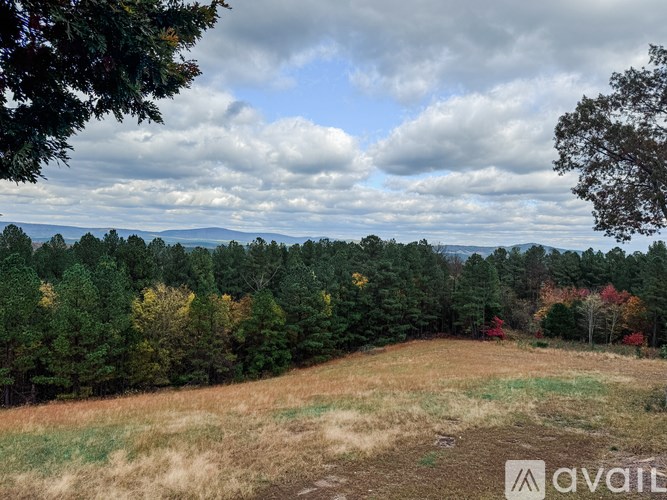 A forest with a mix of green and autumn trees under a cloudy sky.