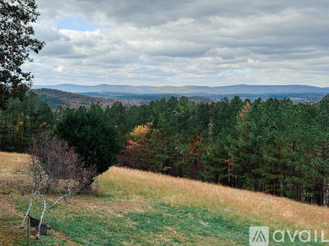 A landscape image of a forest with a cloudy sky.