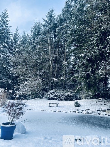 A snowy landscape with a bench and a potted plant.