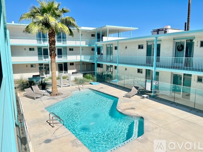 A pool surrounded by a patio and a palm tree.